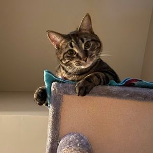 Meet your Posher, Brandon